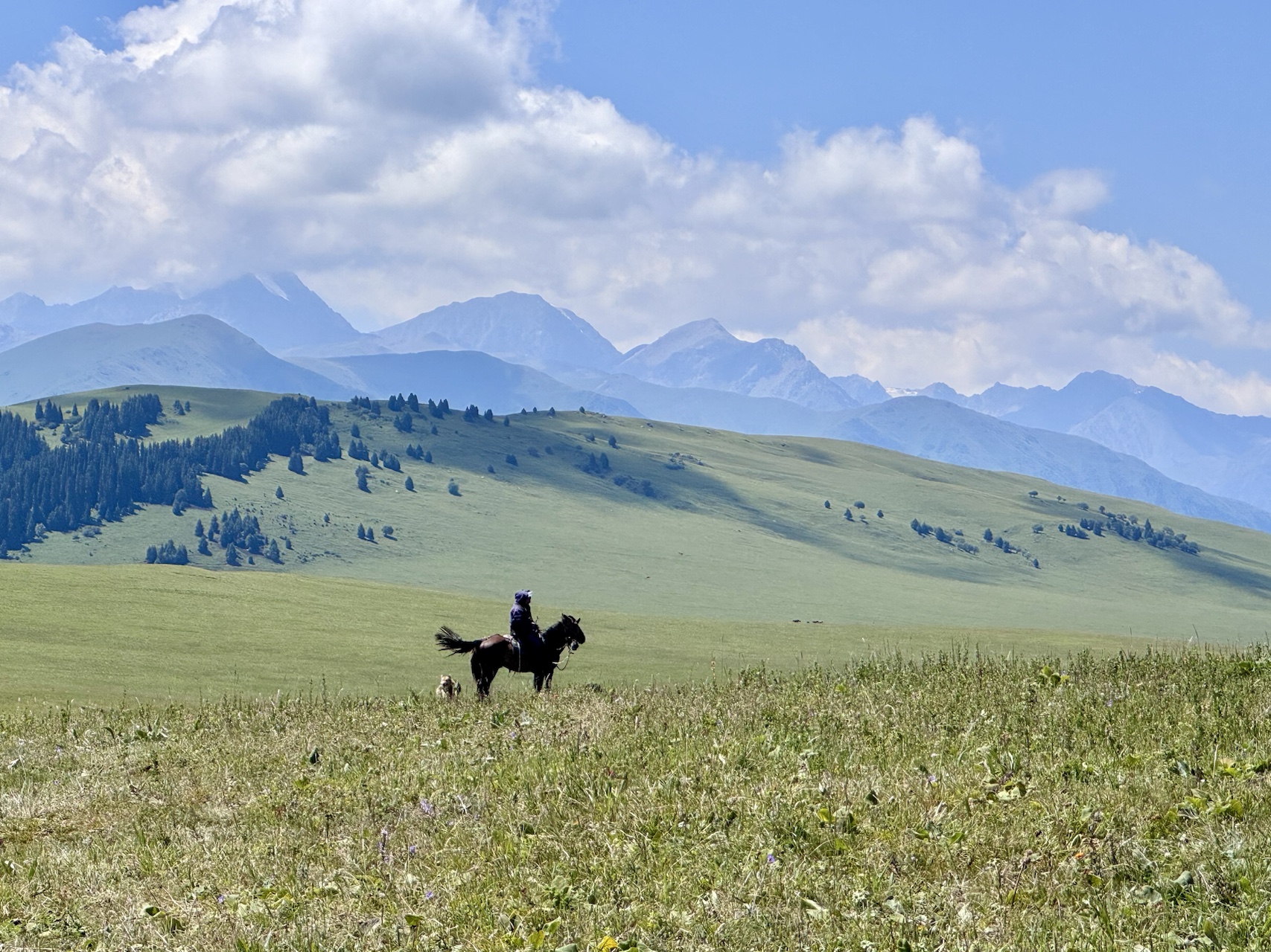 A horseback rider and dog on green steppe below the mountains
