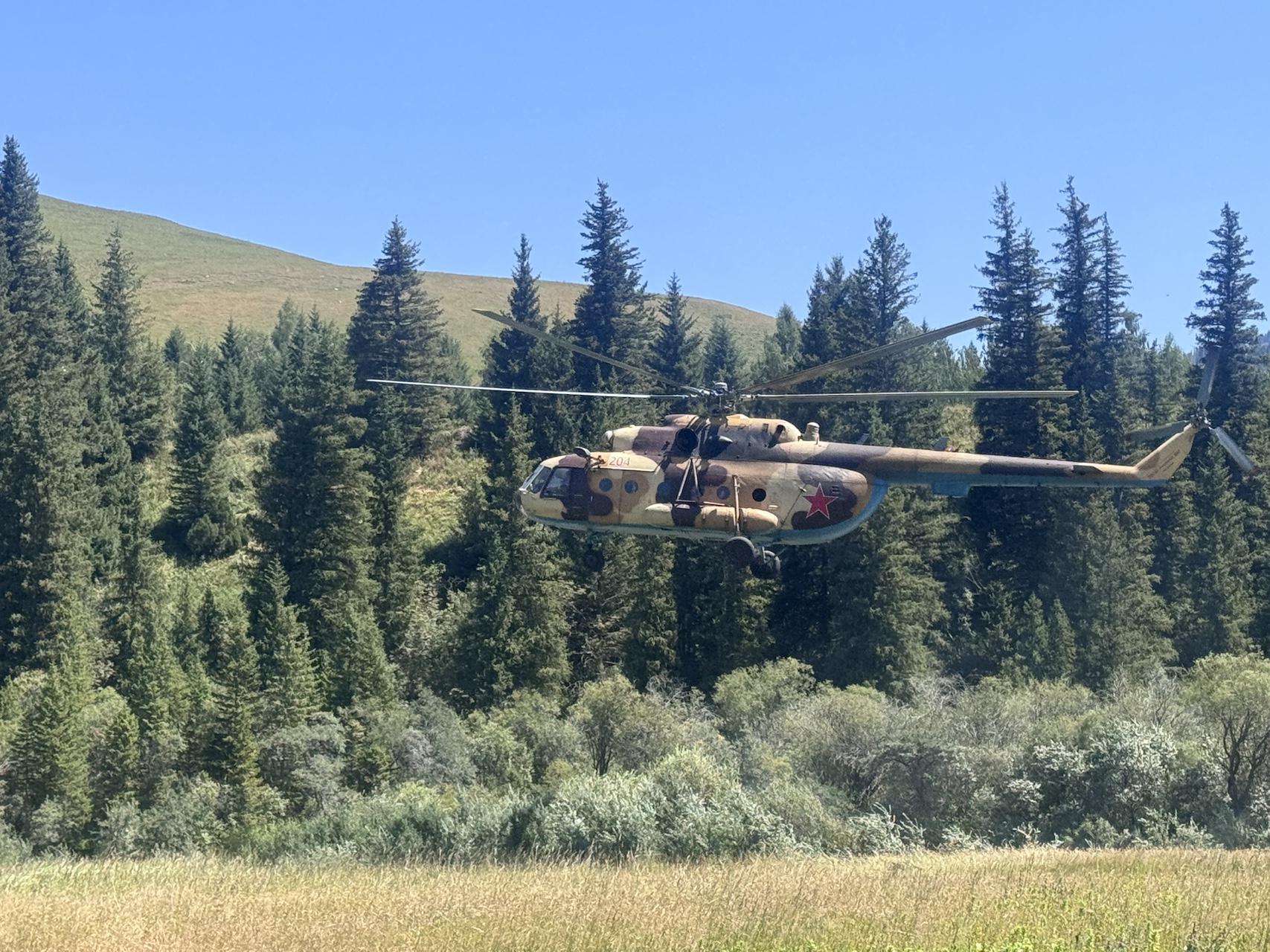 Mi-8 helicopter hovering above spruce trees